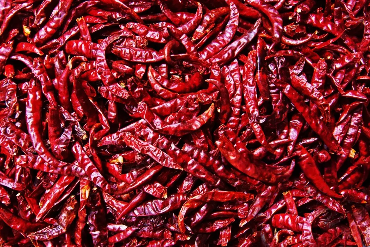 Dry red chilli peppers ready for export